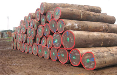 Sapele Logs